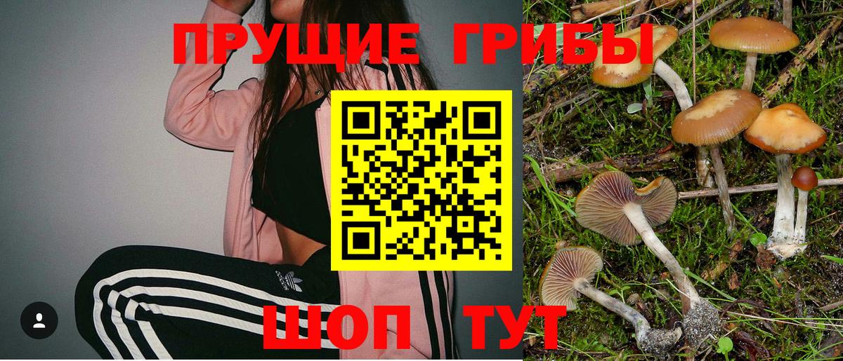 Псилоцибиновые грибы мицелий  Вход с VPN  Арсеньев  Псилоцибиновые грибы GOLDEN TEACHER 